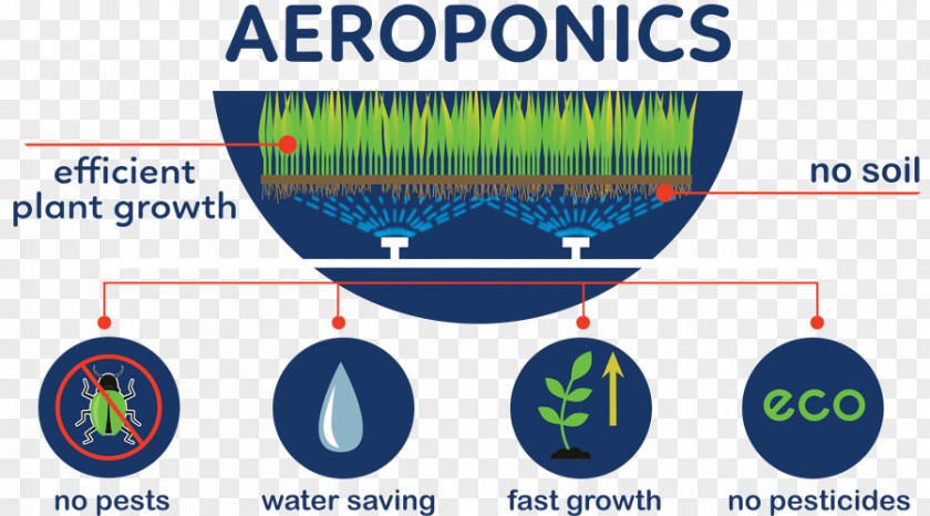 Transplant Aeroponics Agriculture Pest Hydroponics Soil PNG
