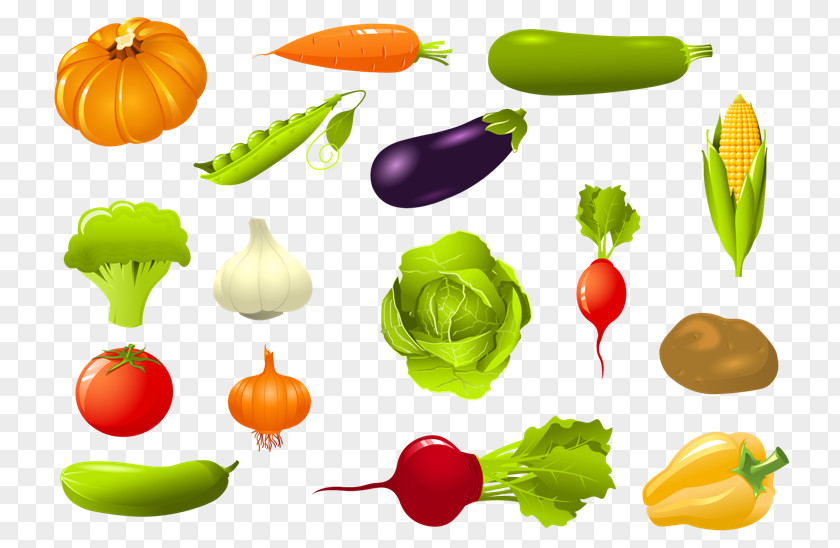 Vegetable Vegetarian Cuisine Vector Graphics Clip Art Fruit PNG