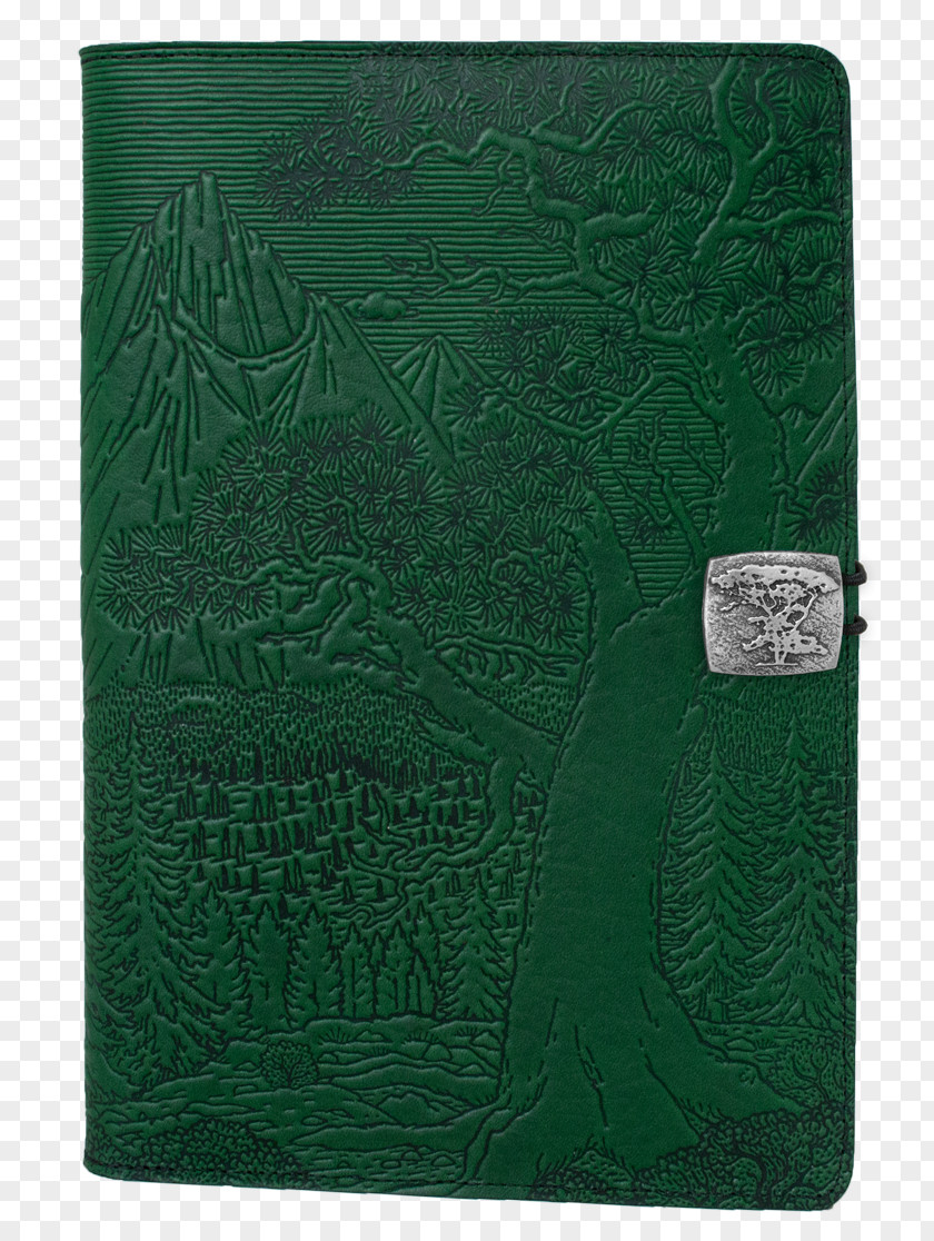 Wallet Green PNG