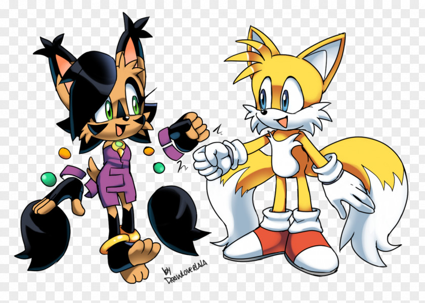 Cat Amy Rose Sonic & Knuckles Chaos Tails PNG