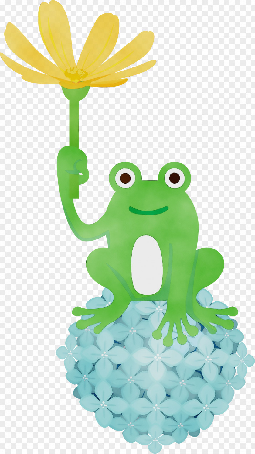 Frogs Tree Frog Green Cartoon Science PNG