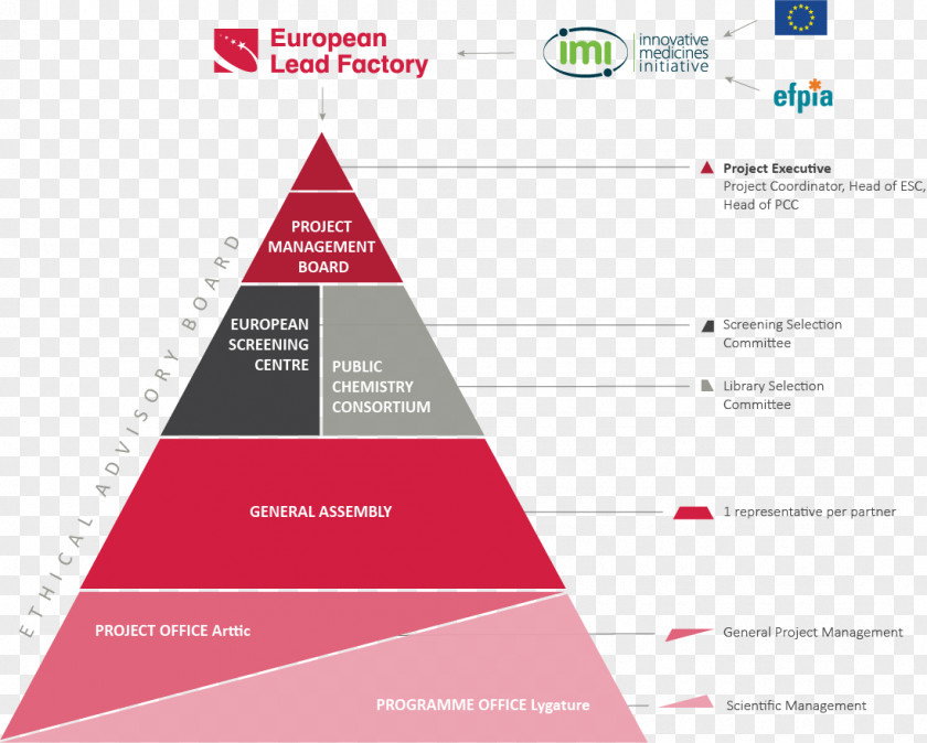 Governance Project Management Board Of Directors European Lead Factory PNG