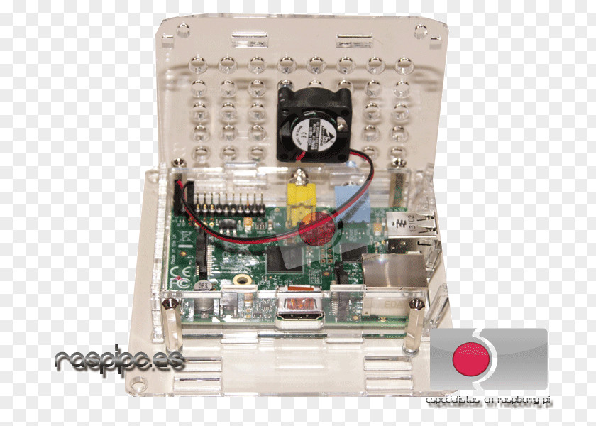 Raspberry Torte Motherboard Computer System Cooling Parts Electronics Hardware Electronic Component PNG