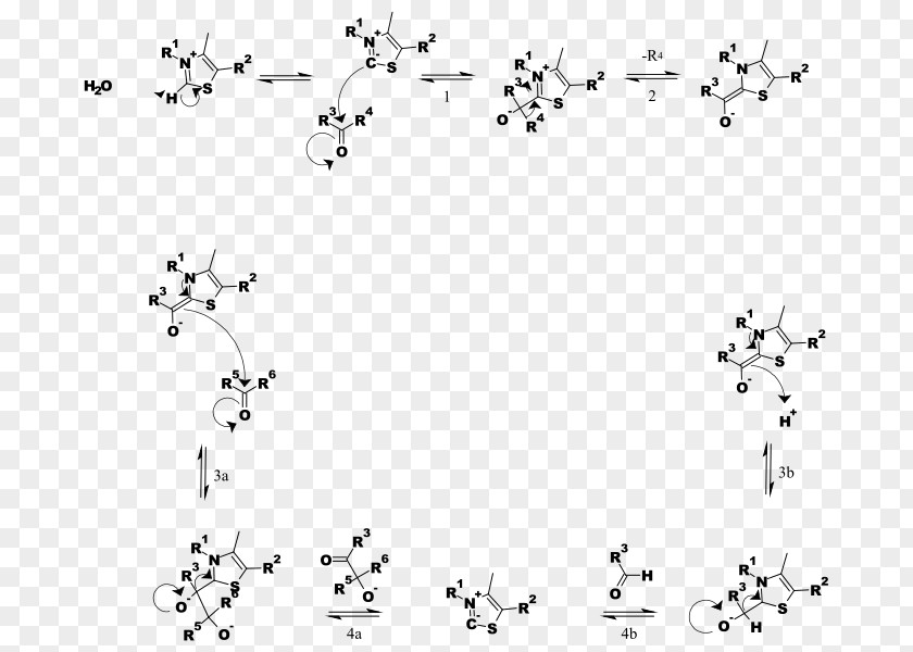 Thiamine Pyrophosphate Transketolase Reaction Mechanism Chemical PNG