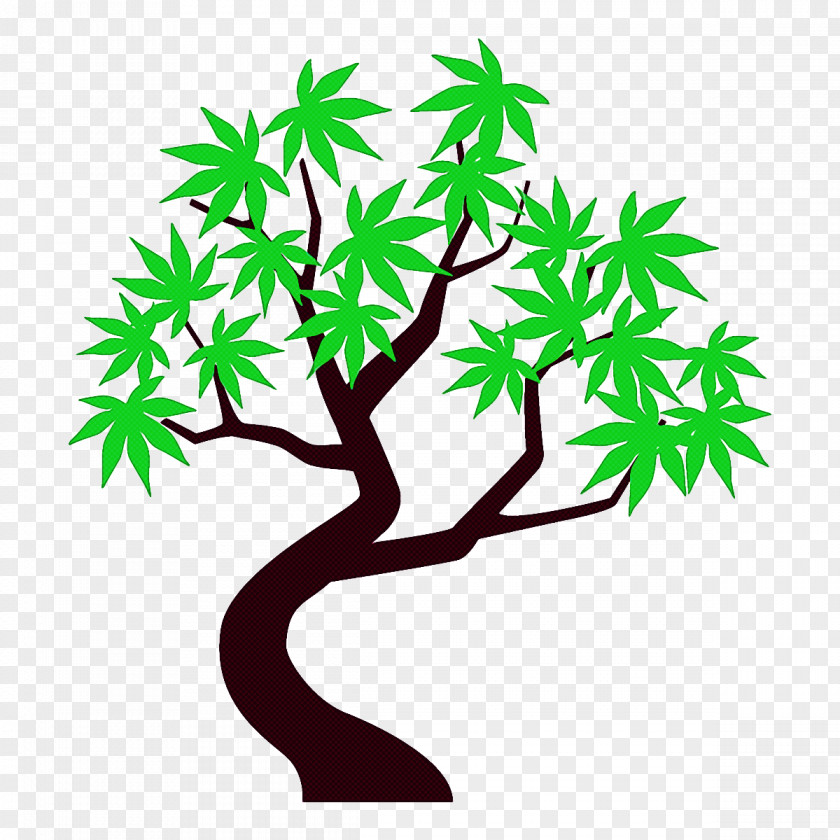 Woody Plant Stem Leaf Tree Green Branch PNG