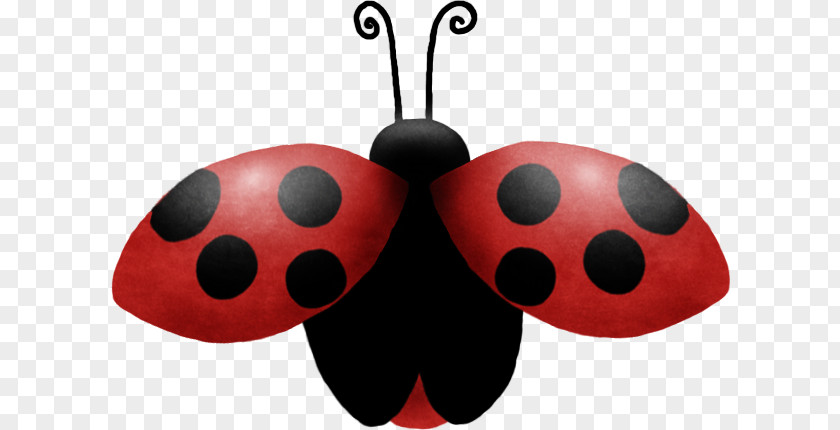 Annuaire Ladybird Beetle Clip Art JPEG Image PNG
