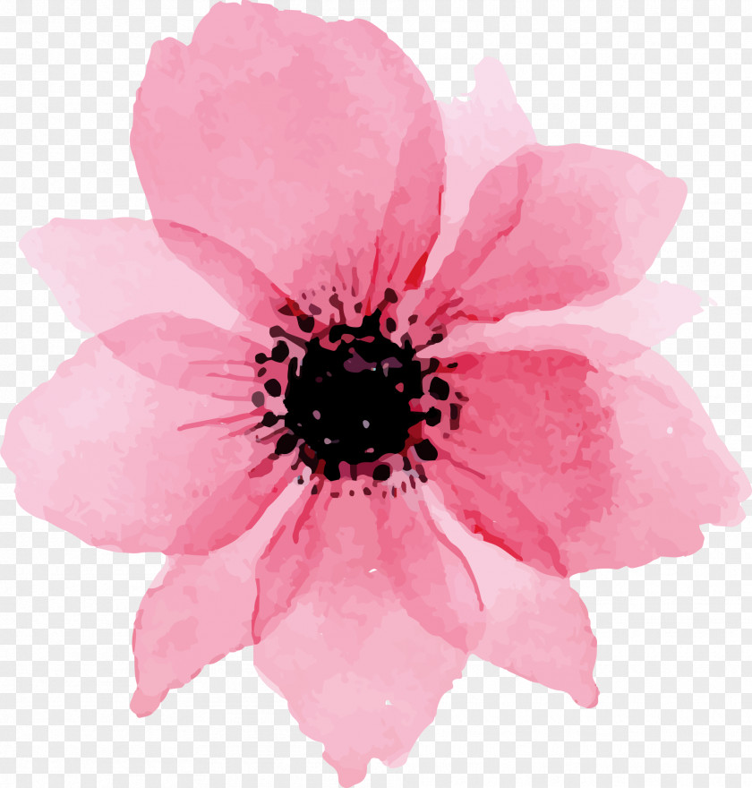 Floating Petals Flower Bouquet Artificial Wedding Clip Art PNG