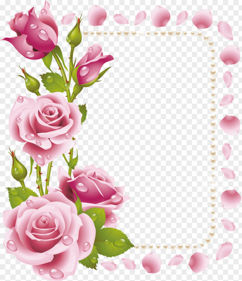 Fuchsia Frame Rose Flower Picture Frames Pink Clip Art PNG