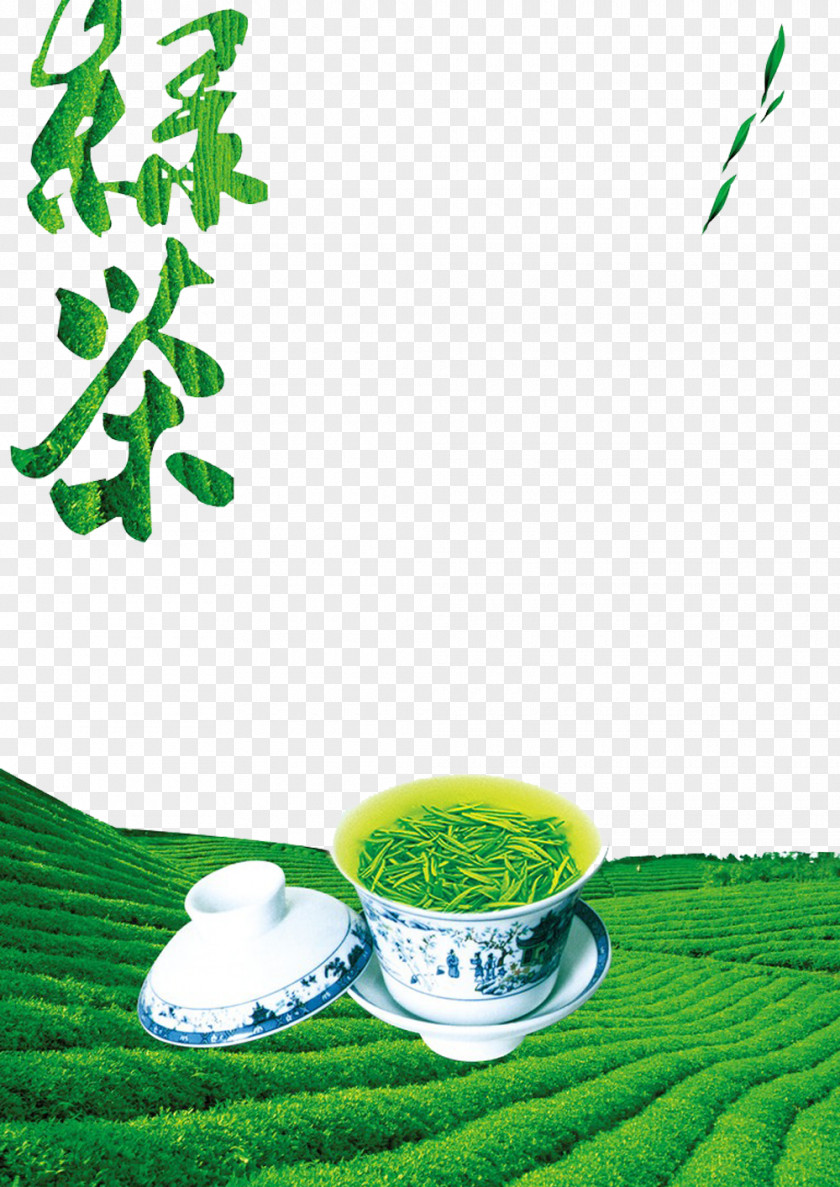 Green Tea Image Longjing Tieguanyin Cha Pu PNG