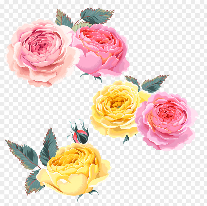 Rose,Pink Roses,Yellow Rose Beach Pink Yellow Computer File PNG