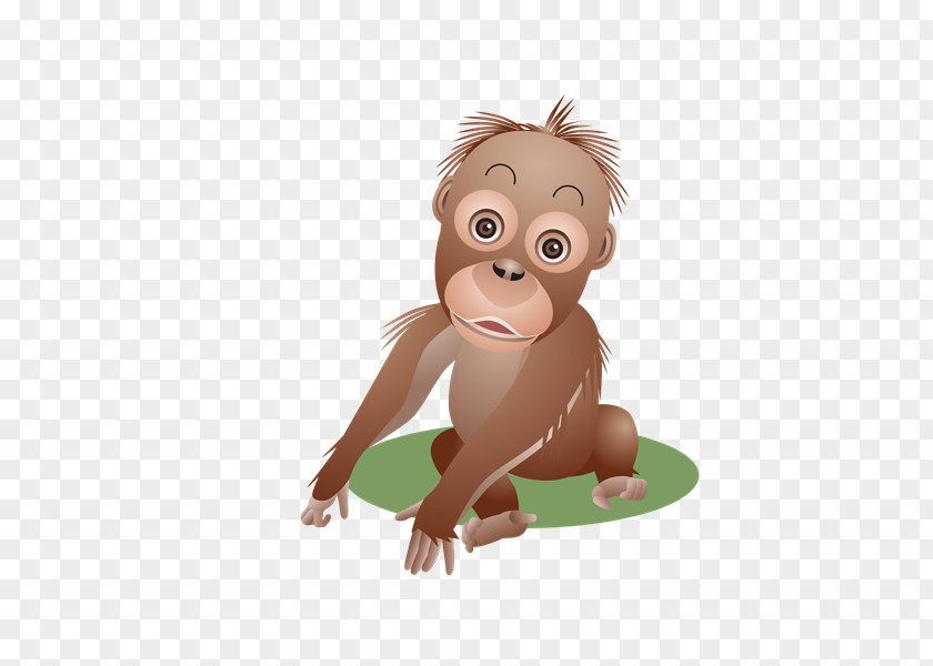 Vl Monkey Orangutan Baby Primate PNG