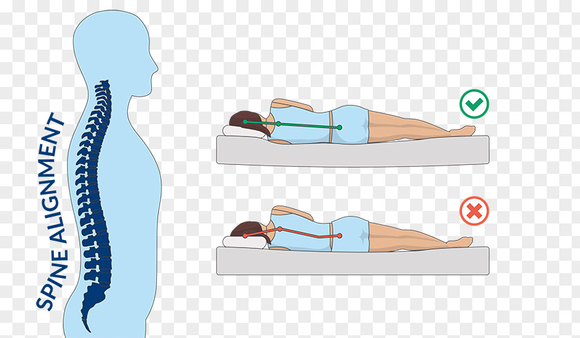 Back Pain Mattress Pads Human Sleep Tempur-Pedic PNG