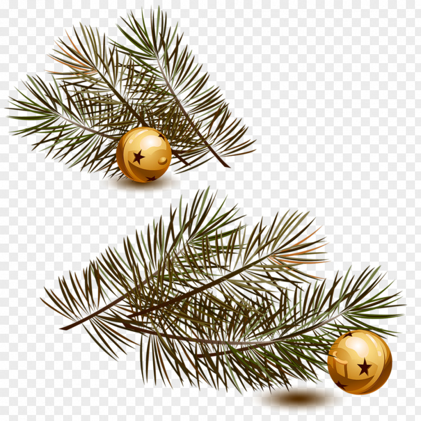 Christmas Day Ornament Website Spruce PNG