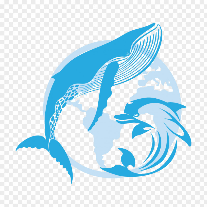 Dolphin Porpoise Clip Art Illustration Sticker PNG