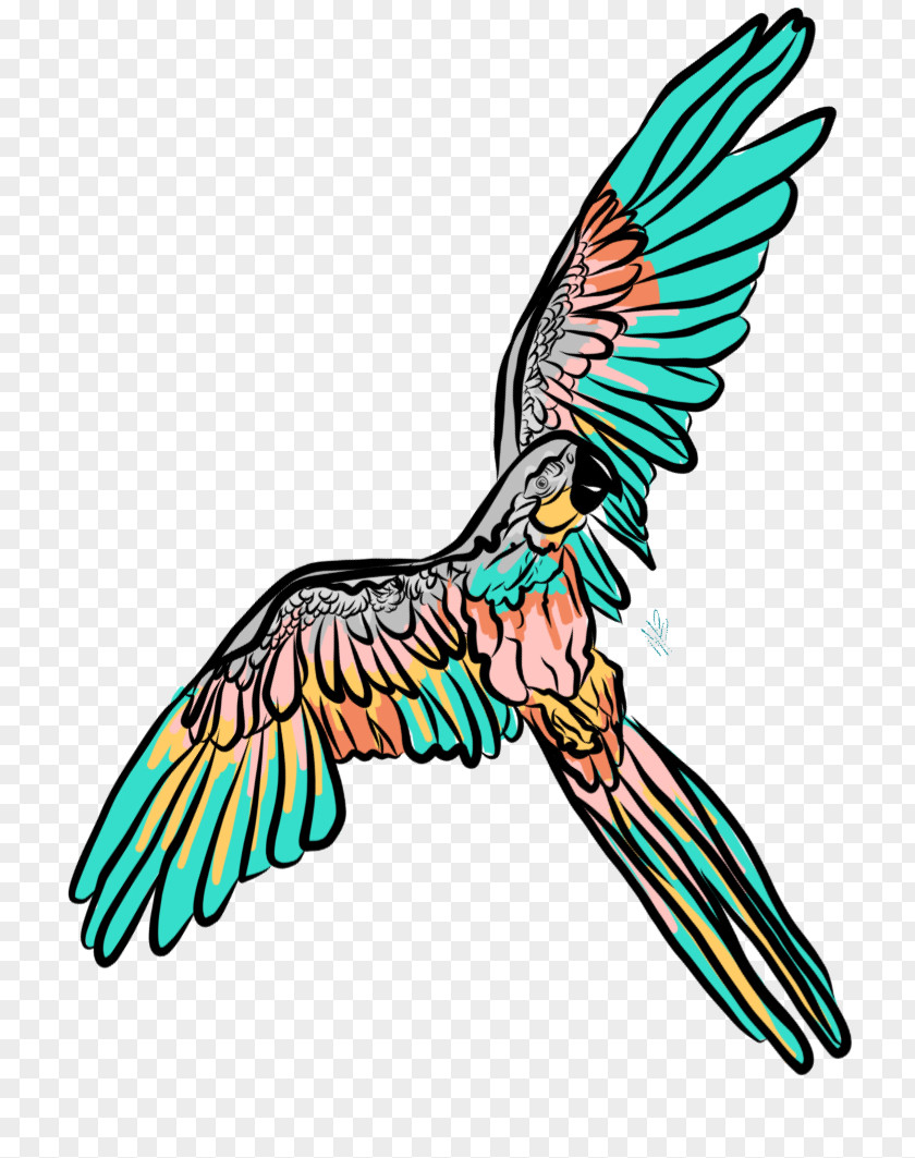 Feather Beak Macaw Art Clip PNG