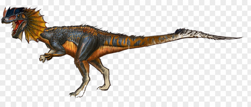 Frilled-neck Lizard Tyrannosaurus Dilophosaurus ARK: Survival Evolved Giganotosaurus Velociraptor PNG