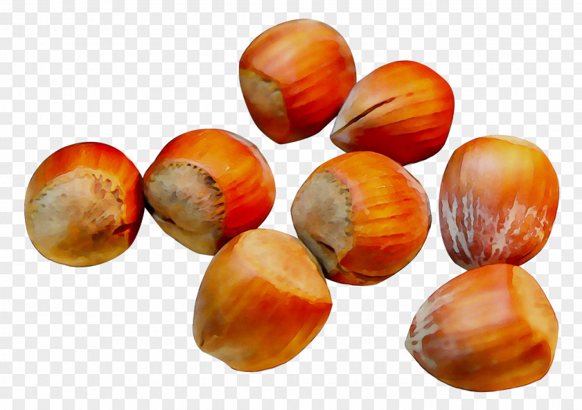 Bead Hazelnut PNG