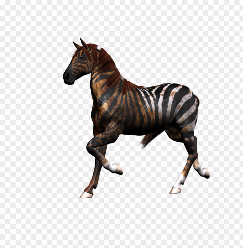 Horse Mustang Stallion Pony PNG