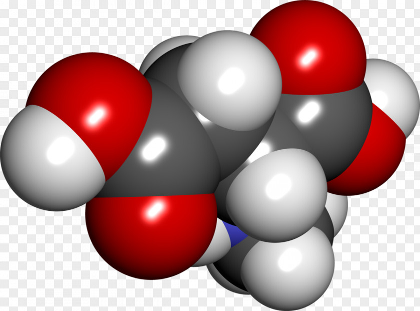 N-Methyl-D-aspartic Acid Space-filling Model Methyl Group PNG