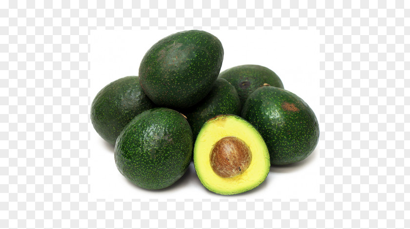 Tree Hass Avocado Maluma Fruit Agriculture PNG
