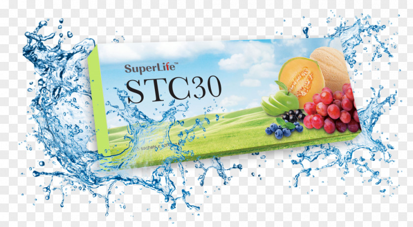 Zygote Stem Cell Dietary Supplement Therapy PNG