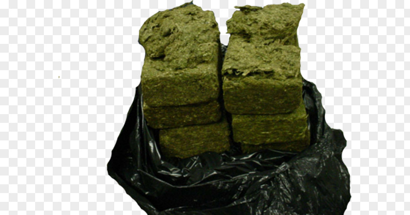 Cannabis Cultivation Kush Medical Sour Diesel Haze PNG