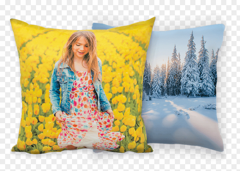 Cojin Photo-book Pillow Picdoozy Déjanos Sorprenderte. Photography Printing PNG