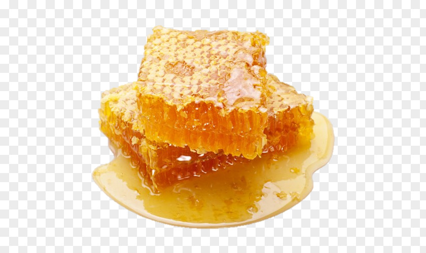 Bee Honey Honeycomb Raw Foodism PNG