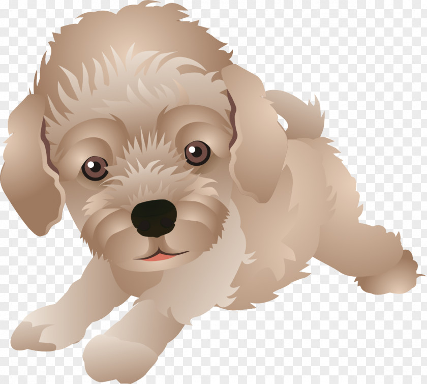 Cartoon Maltese Dog Schnoodle Cockapoo Havanese Goldendoodle PNG