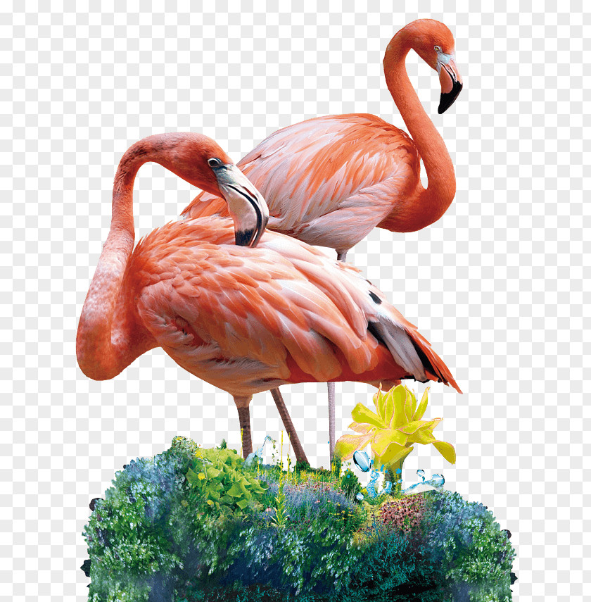 Flamingo Image Painting Online Shopping Art PNG