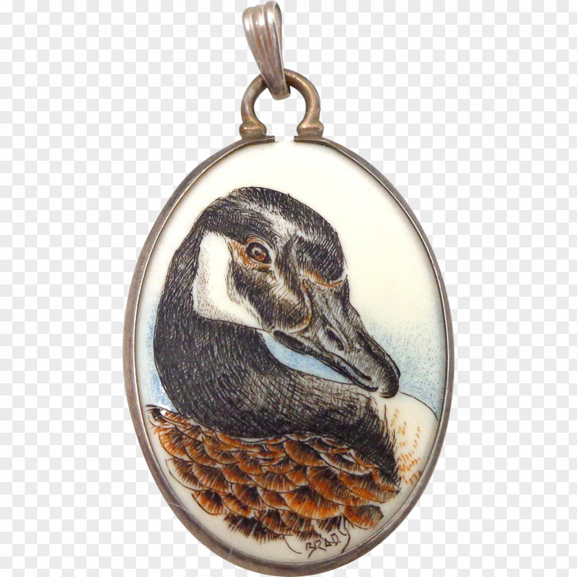 Goose Duck Anatidae Water Bird Locket PNG