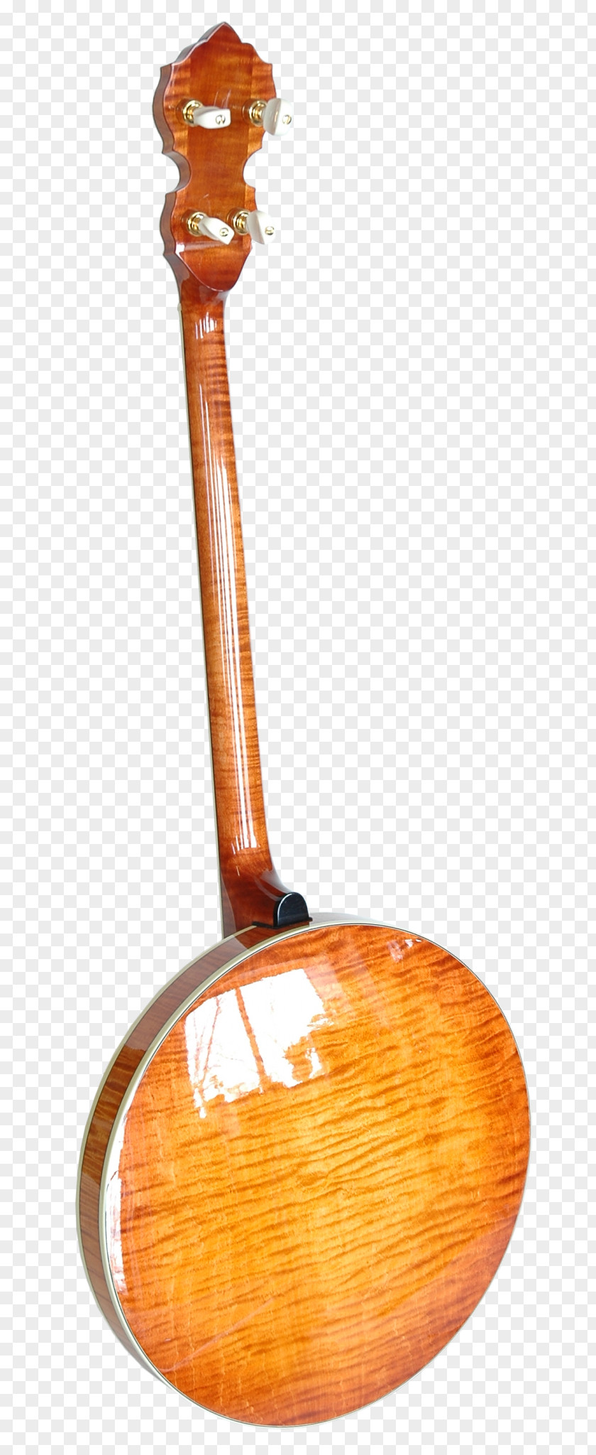 Musical Instruments Banjo Guitar Uke Clawhammer PNG