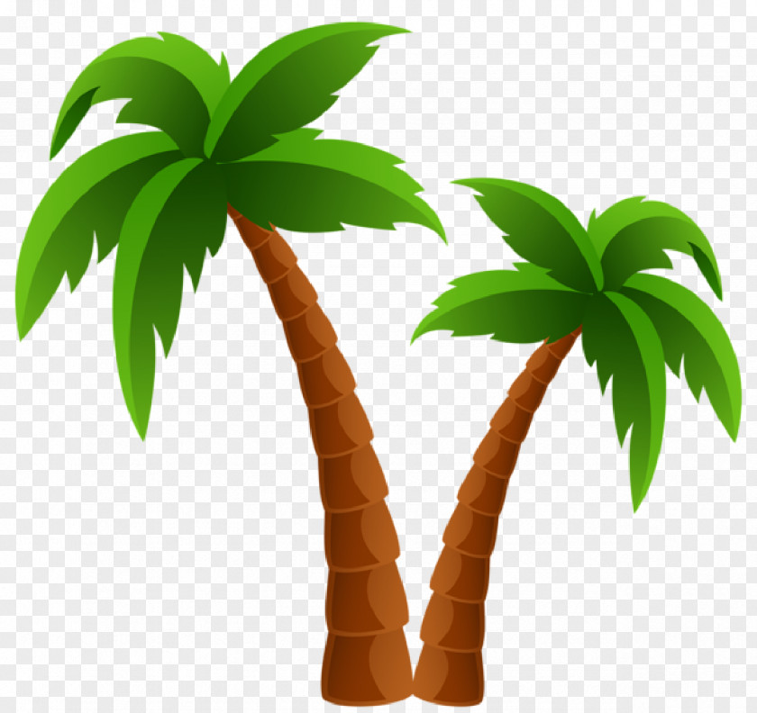 Palm Tree Arecaceae Clip Art PNG