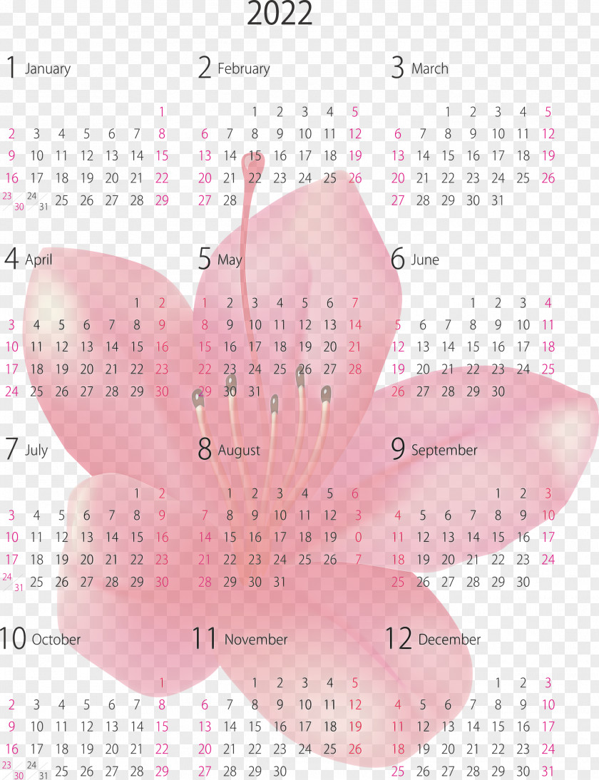 2022 Yearly Calendar Printable PNG