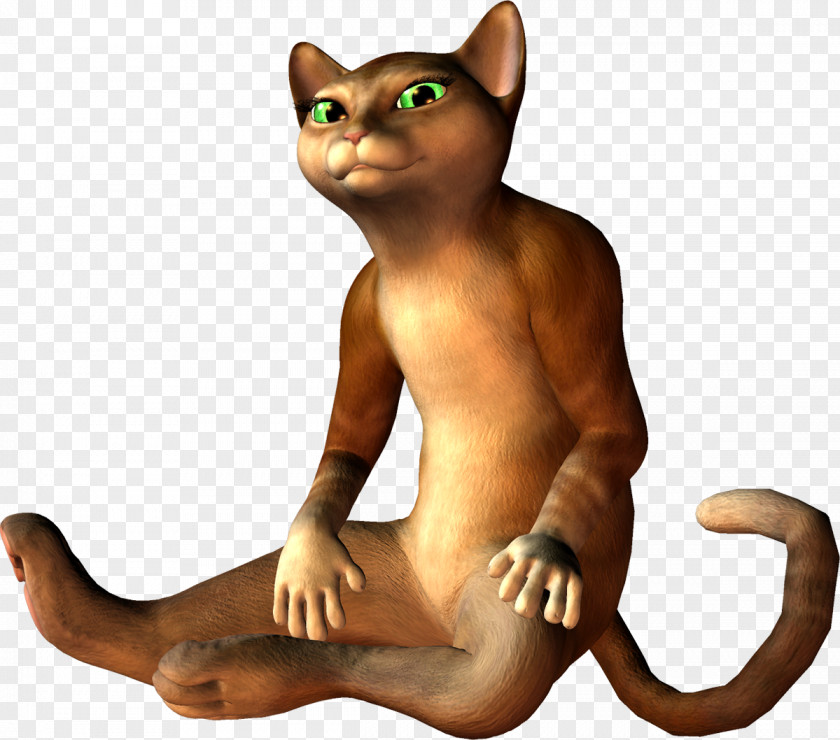 3d. Kitten Havana Brown Whiskers Tail PNG