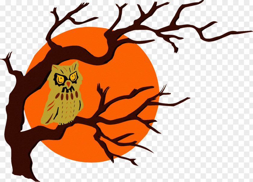 Bat Owl Bird Clip Art PNG