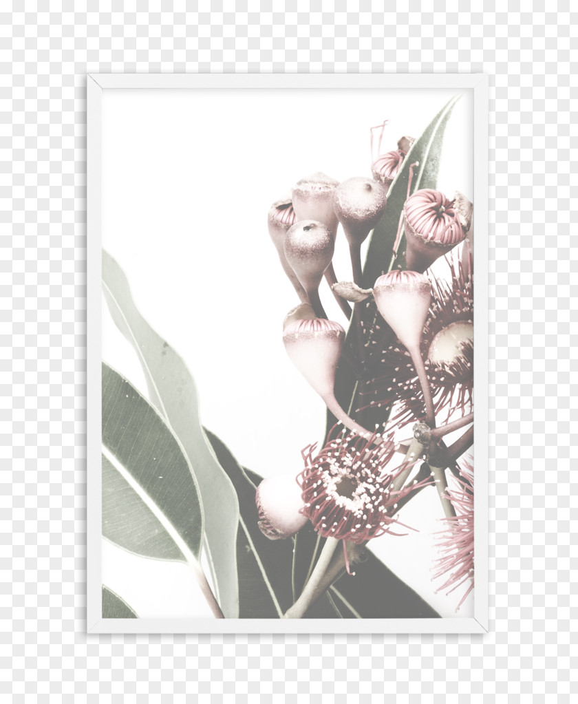 Bohemian Arrow Picture Frames Photography Poster Image PNG