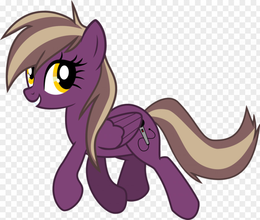 Cat Pony Rarity Derpy Hooves Sweetie Belle PNG