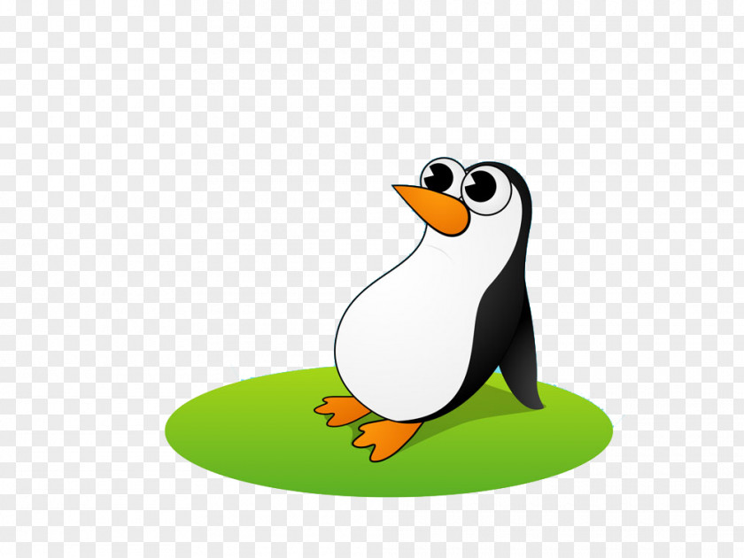 Creative Cartoon Penguin King Antarctica Bird PNG