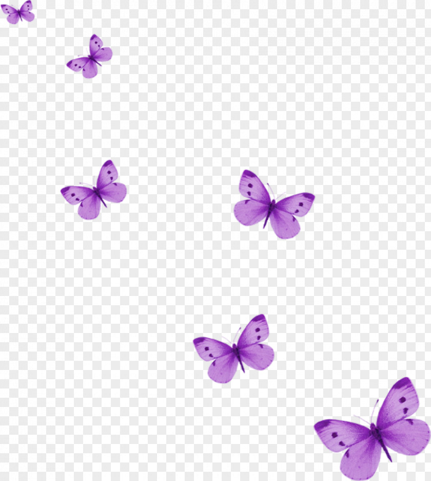 Lilac Butterfly Clip Art PNG
