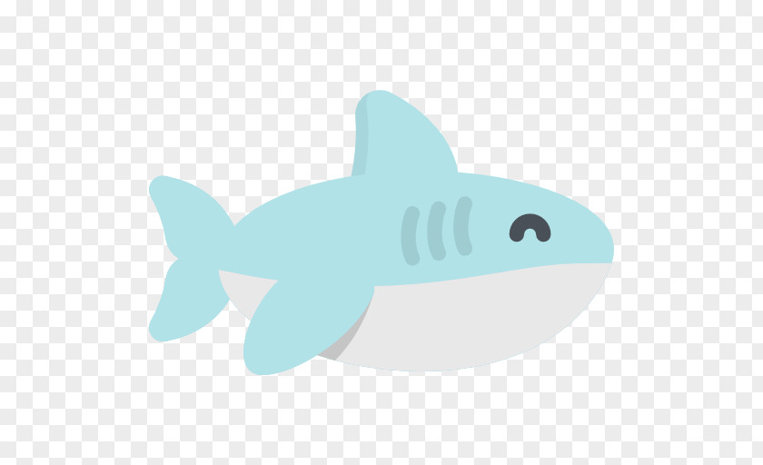 Shark Requiem Sharks Marine Biology Mammal PNG