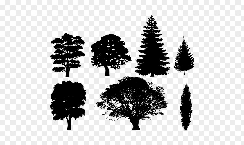 Tree Pine Clip Art PNG