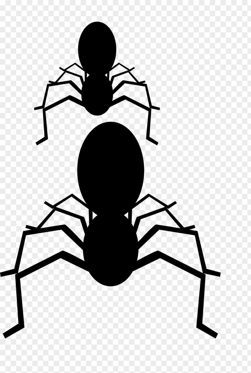 Hand Painted Black Spider And White Clip Art PNG