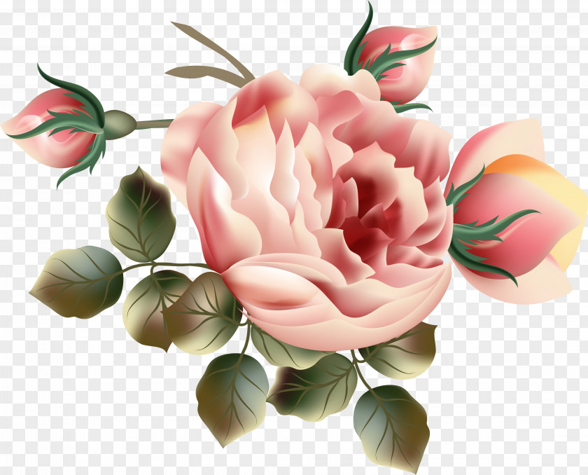 Lilac Flower Garden Roses Floral Design Clip Art PNG