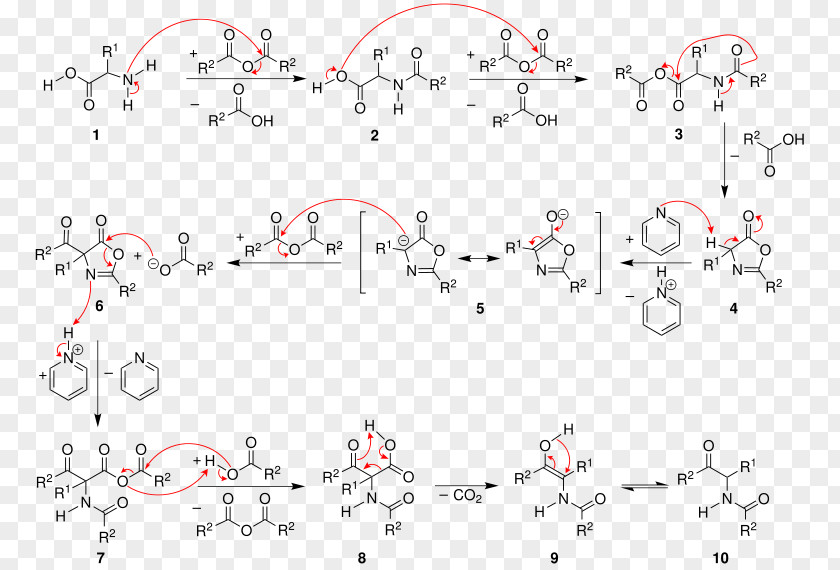 Bitten Dakin–West Reaction Acetylation Acylation Acetic Anhydride Mechanism PNG
