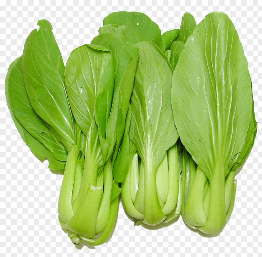 Bok Choy Leaf Vegetable Cruciferous Vegetables Collard Greens Food PNG