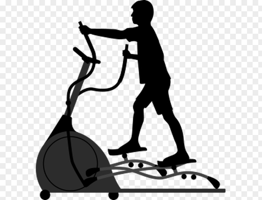 Exercise Equipment Fitness Centre Physical Weight Training PNG
