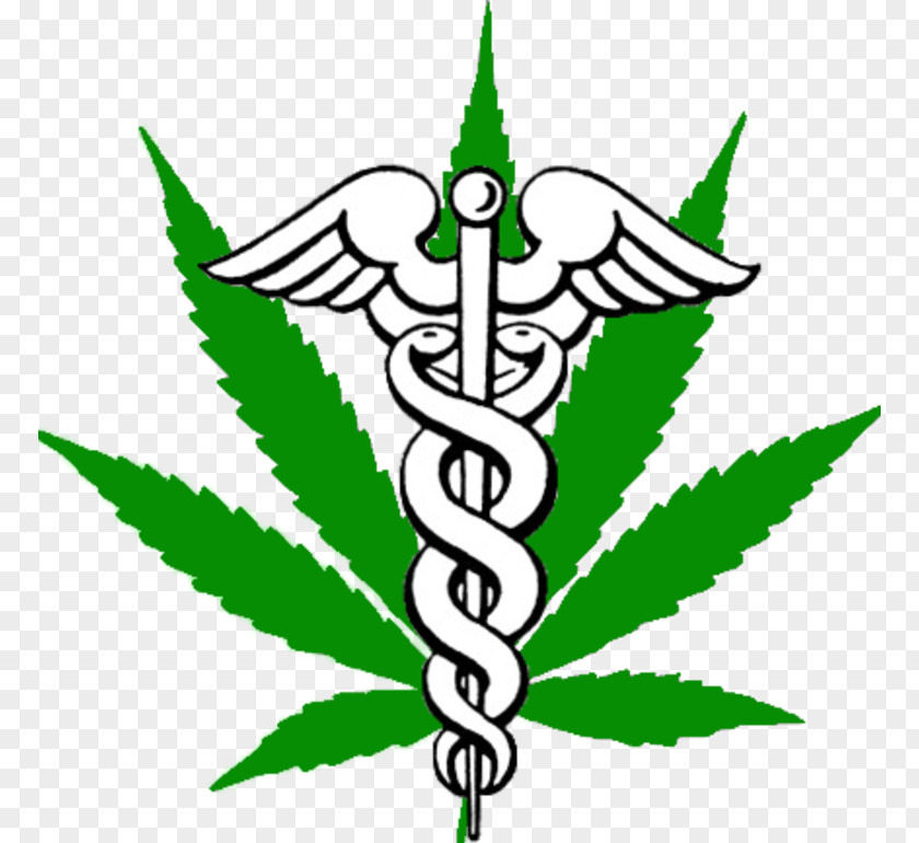 Friendly Doctor Logo Medical Cannabis Medicine Hemp Industry PNG