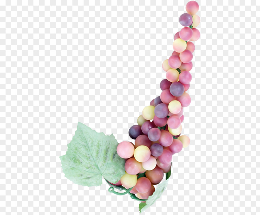 Grape Grapes Vine Bead Clip Art PNG