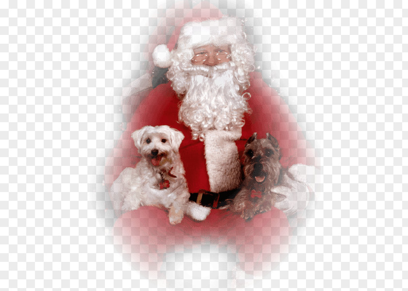 Papa Santa Claus Christmas Ornament Dog Breed Saint Nicholas Day PNG